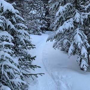 Meet your Posher, Colleen